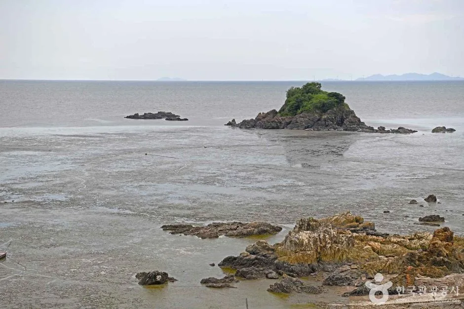 영광_백수해안공원 (6)