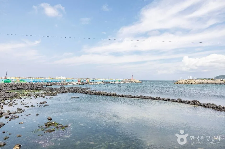 제주_화북포구 (2)