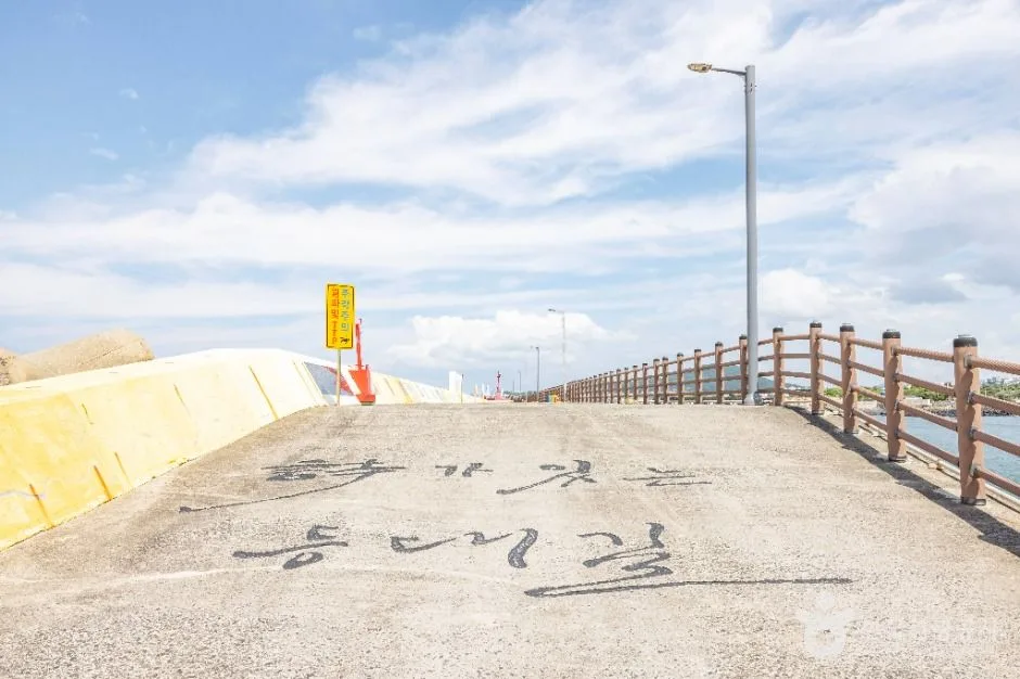 제주_화북포구 (3)