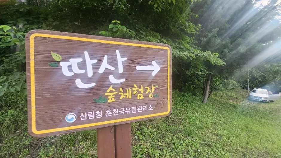 딴산