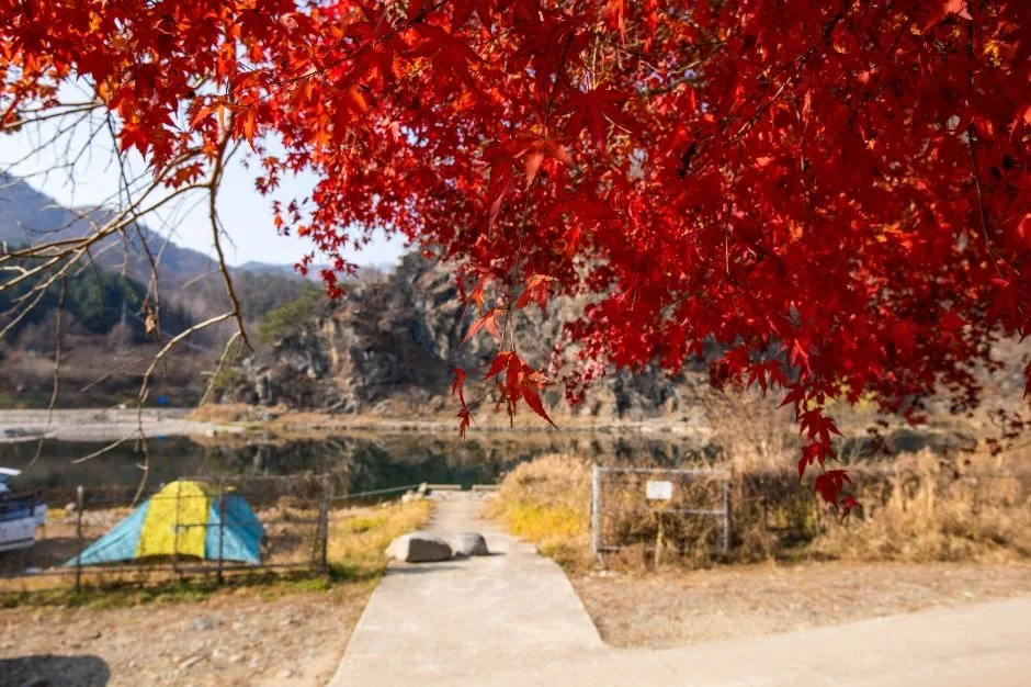 딴산