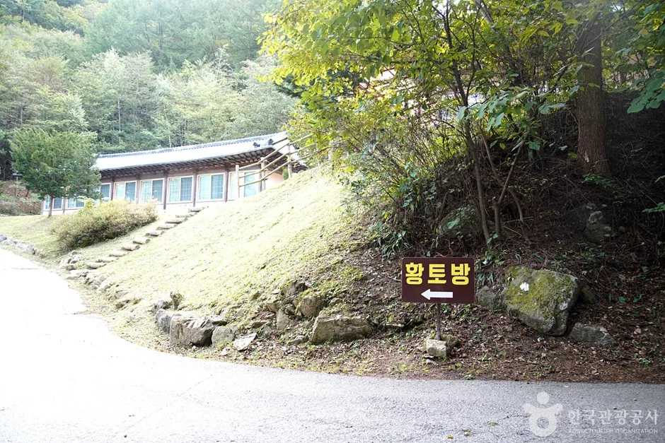 치악산자연휴양림 (11)