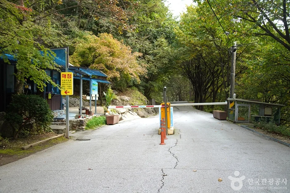 치악산자연휴양림 (9)