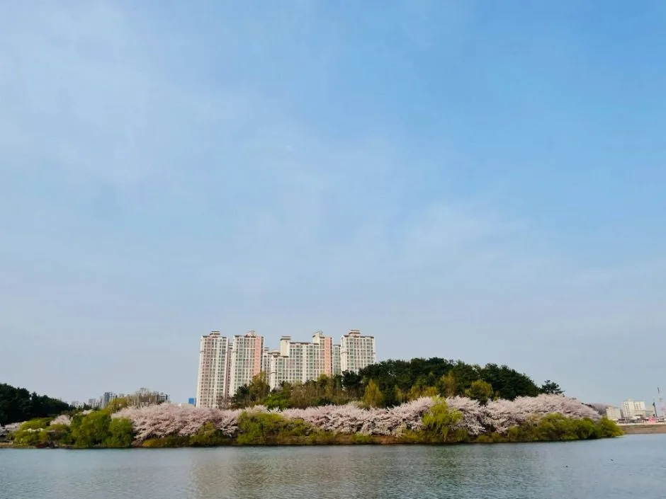 울산_선암호수공원 (6)