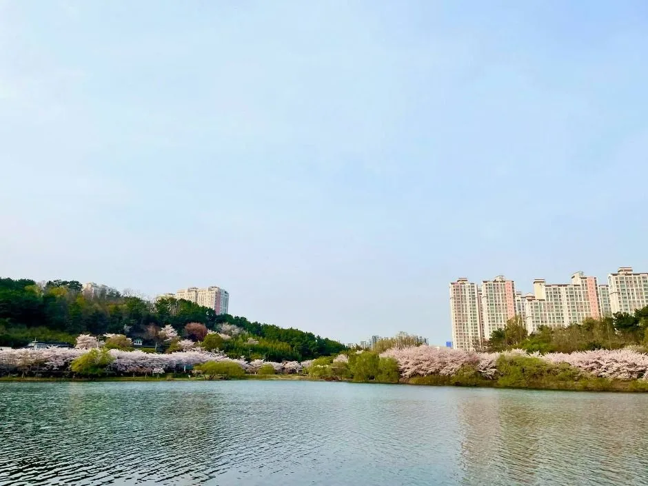선암호수공원