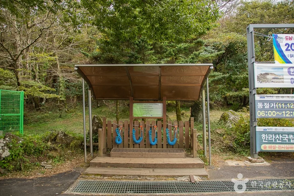 한라산 성판악 (3)