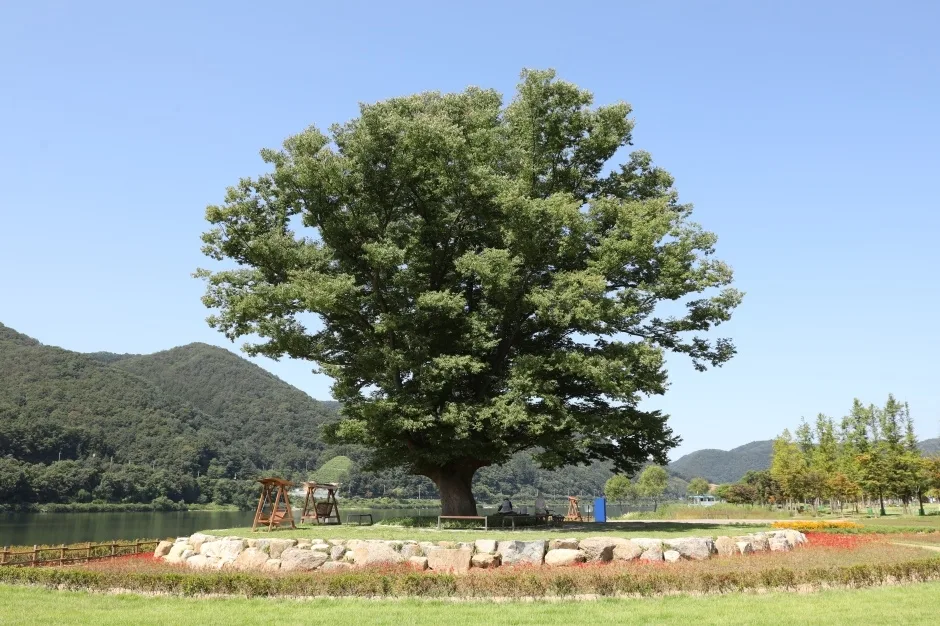 아를테마수목원_6