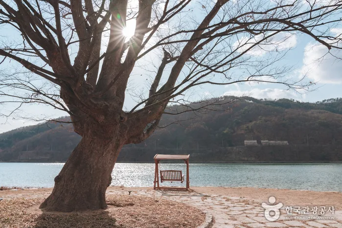 강원_화천_조인성이 라면 끓여주던 그 곳! 화천 원천상회를 즐기는 6가지 방법 27