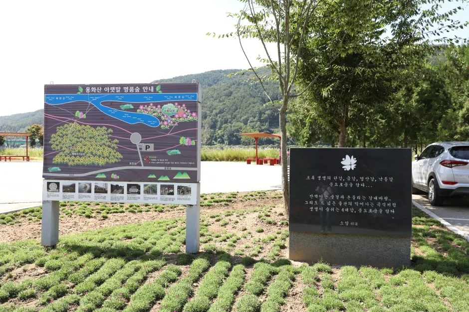 아를테마수목원_7