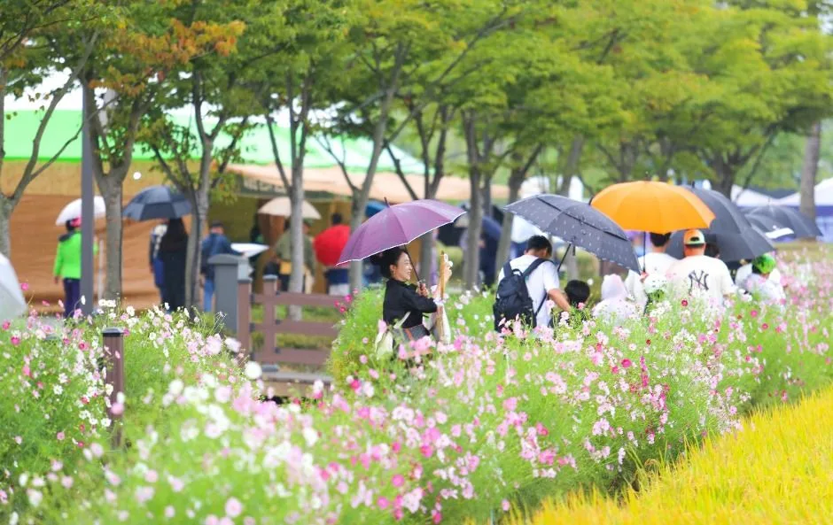 2026 김제지평선축제 (1).jpg