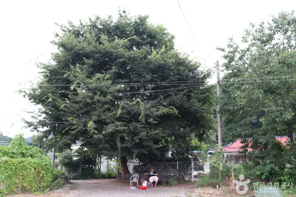충주 조동리 지석묘 (5)_e