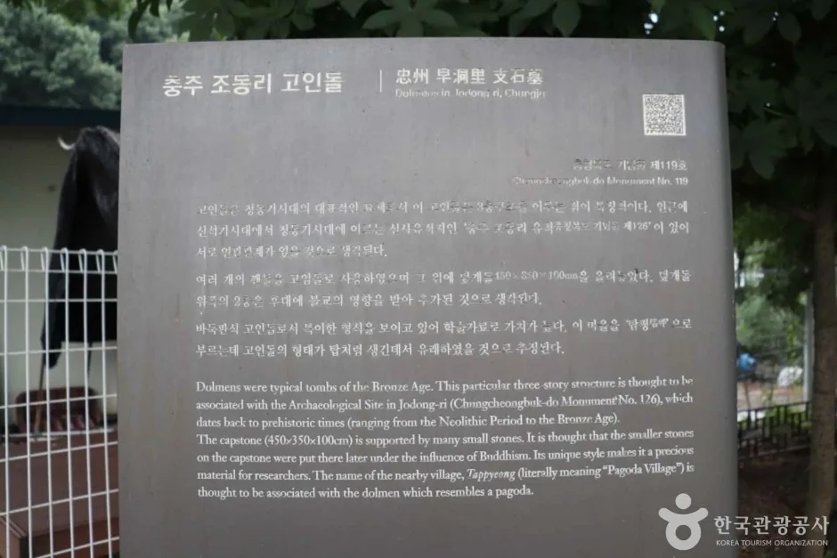 충주 조동리 지석묘 (8)_e