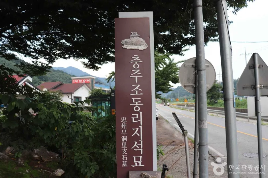 충주 조동리 지석묘 (7)_e