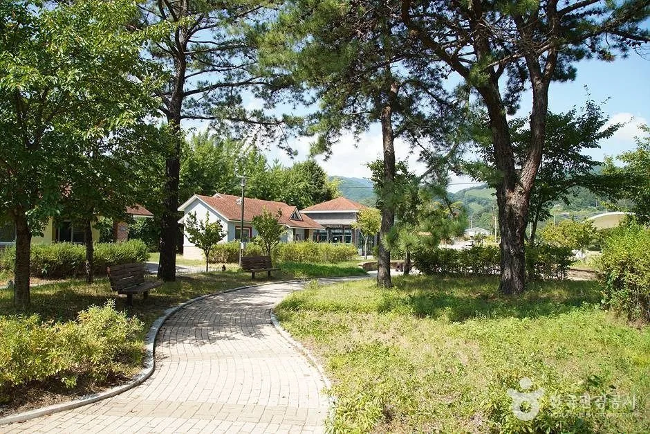 용늪자연생태학교 (06)