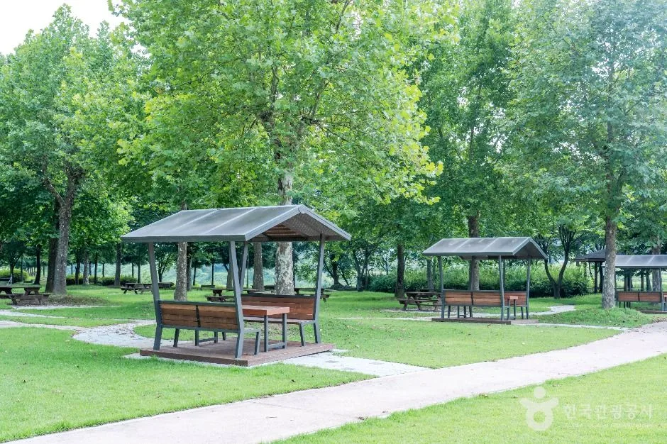 여주_금은모래강변공원 (5)