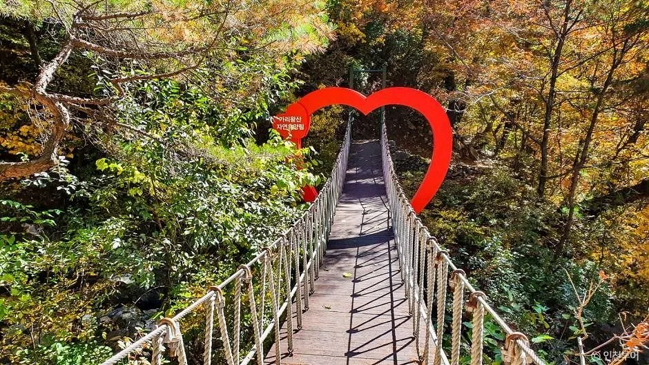 정선_국립 가리왕산자연휴양림 (2)
