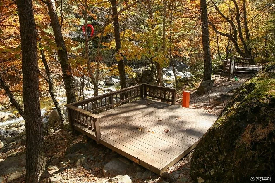 정선_국립 가리왕산자연휴양림 (7)