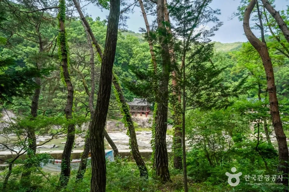 거창_거창 건계정 (2)