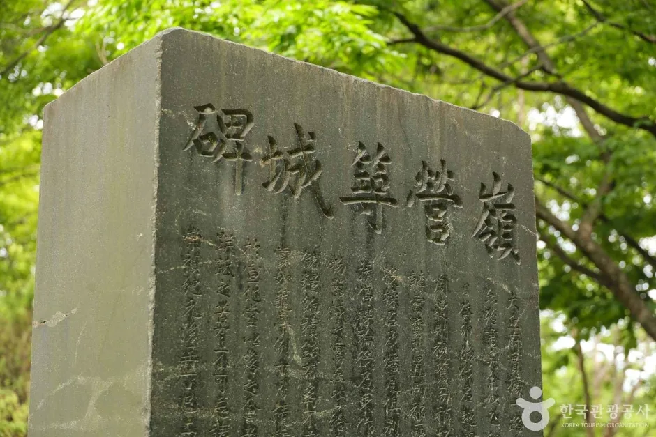영영축성비 (5)