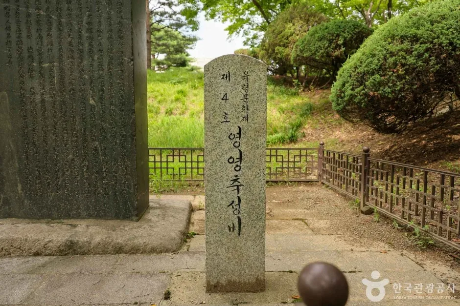 영영축성비 (6)