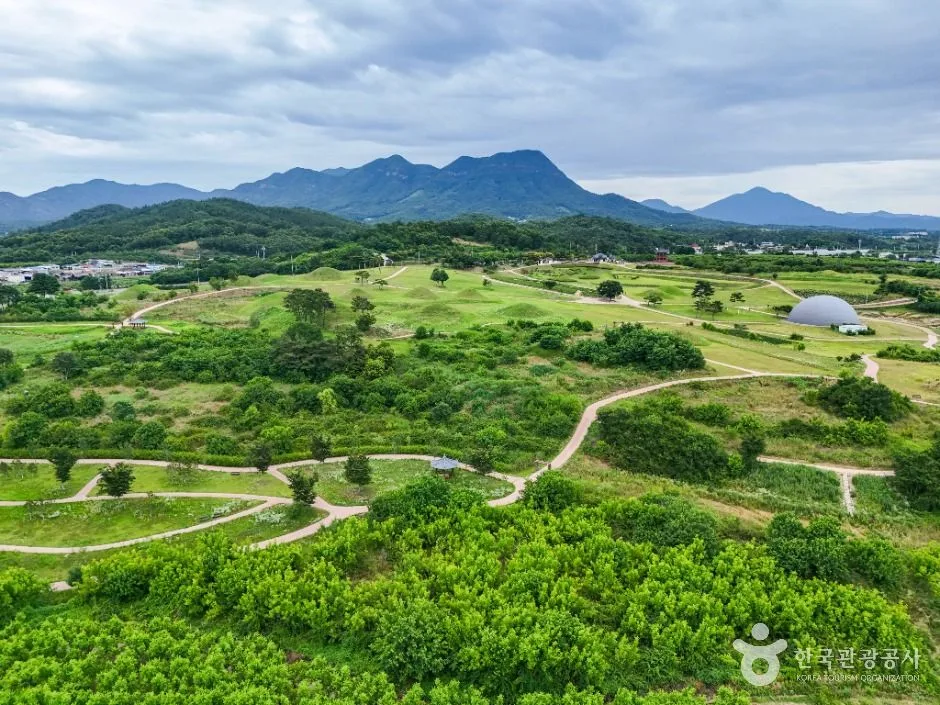 의성_의성 금성산 고분군 (3)
