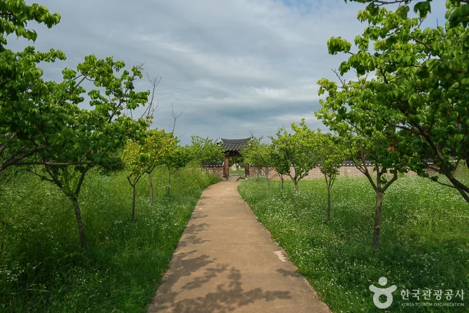 경인아라뱃길 매화동산14