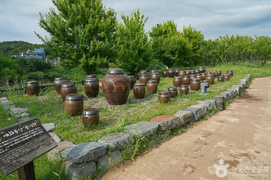 경인아라뱃길 매화동산1