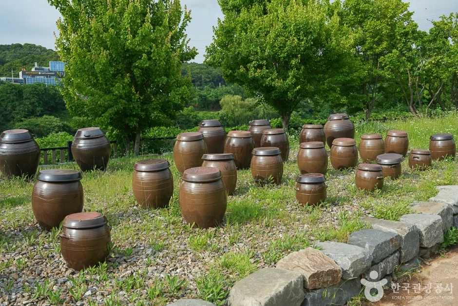 경인아라뱃길 매화동산5