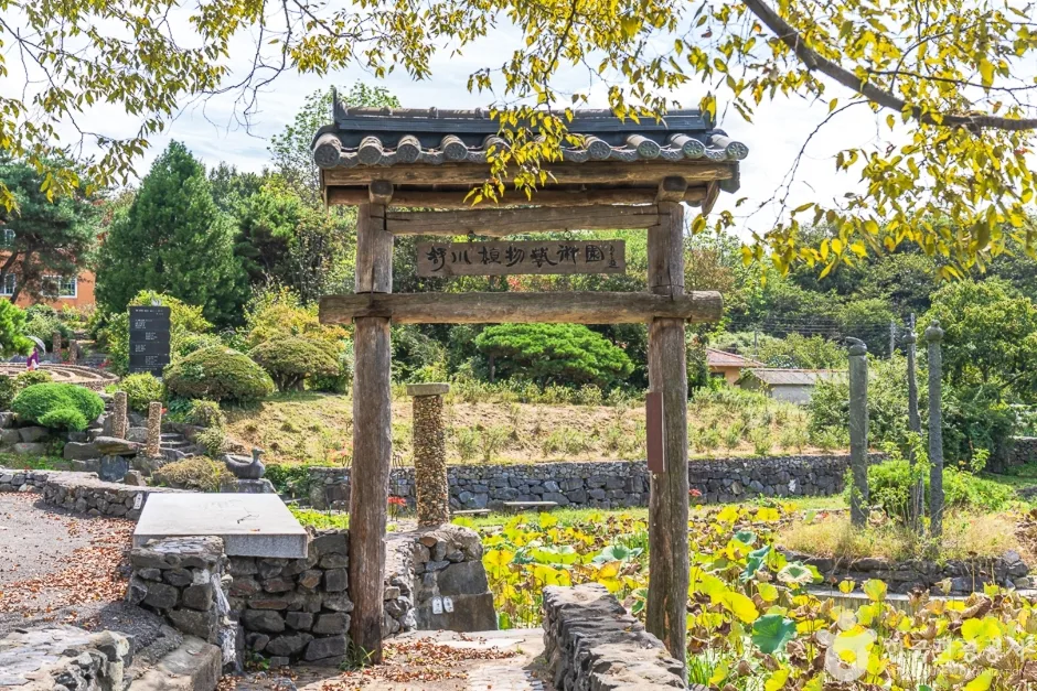 서천식물예술원 (3)