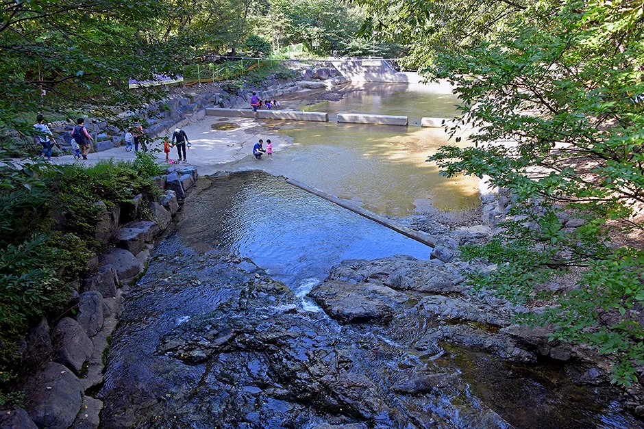 양산_대운산자연휴양림 (2).jpg