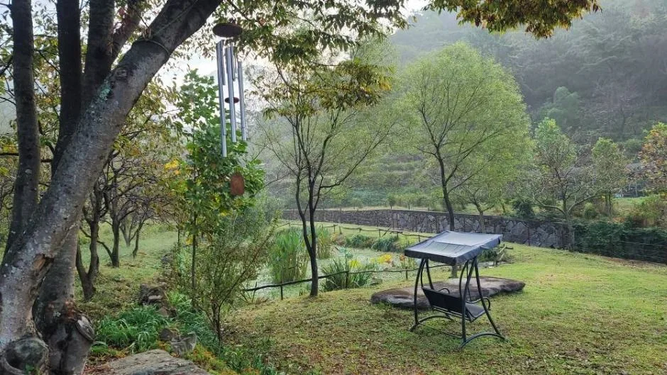 공룡자연농원_전경2