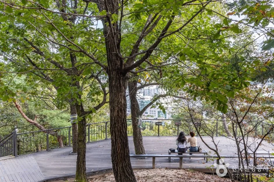 서울_봉화산(서울) (3)