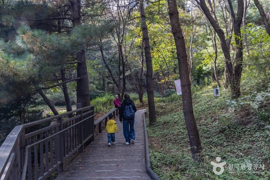 서울_봉화산(서울) (8)