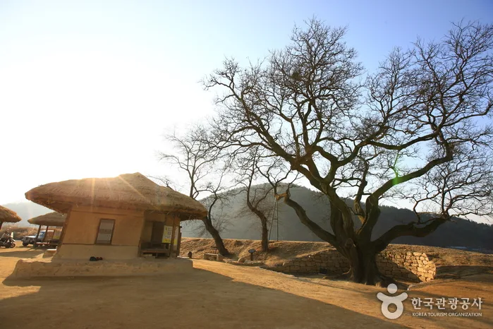 내성천 물길이 만들어내는 아름다운 풍경을 만나다