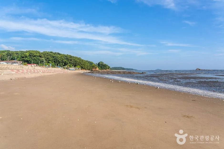 서천_비인해변 (6)