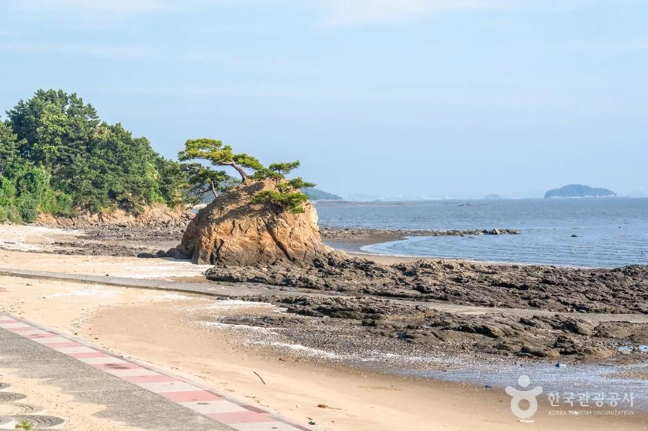 비인해변