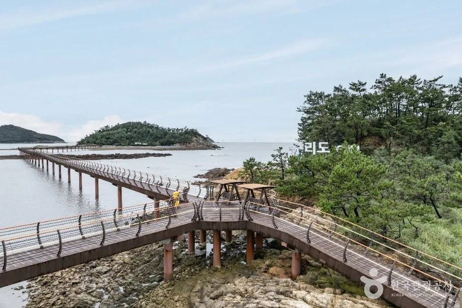 신안_둔장해변 (6)