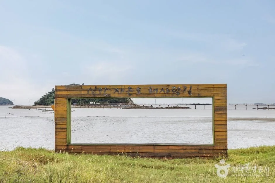 신안_둔장해변 (4)