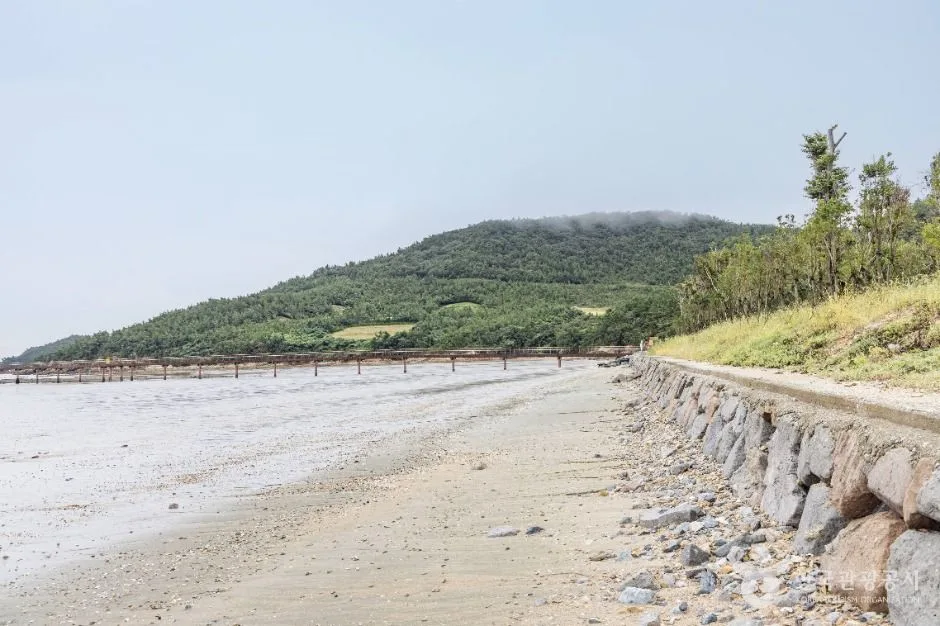 신안_둔장해변 (3)