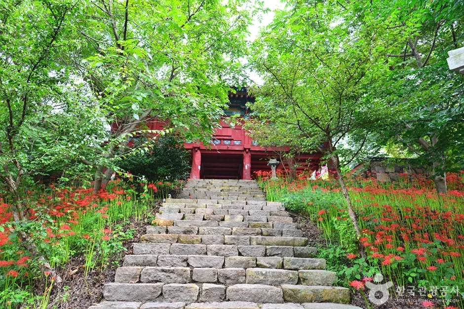 전남_함평_용천사 (6)