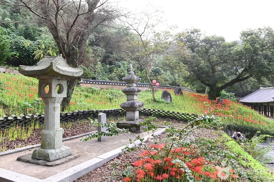 전남_함평_용천사 (4)