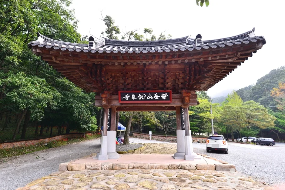 전남_함평_용천사_꽃무릇_1.jpg