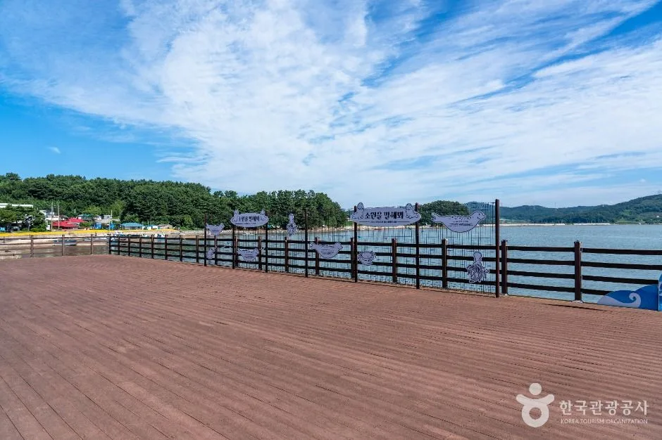 서산_왕산포구 (3)