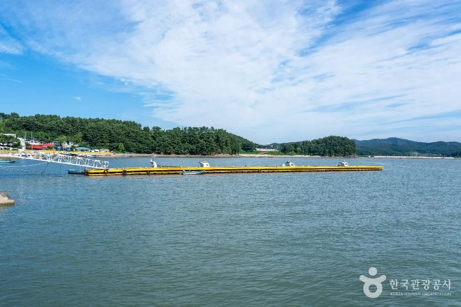 서산_왕산포구 (5)
