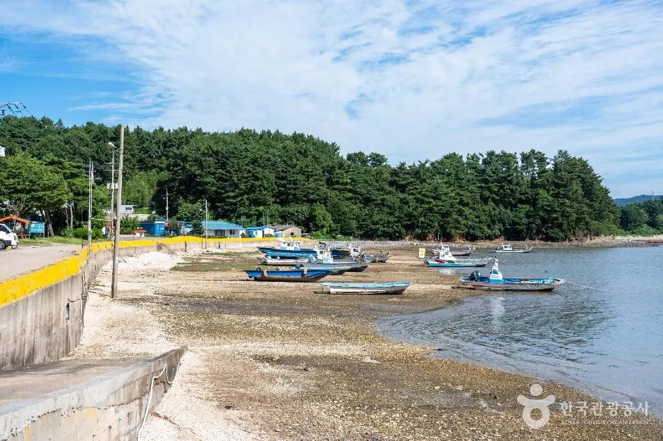왕산포구