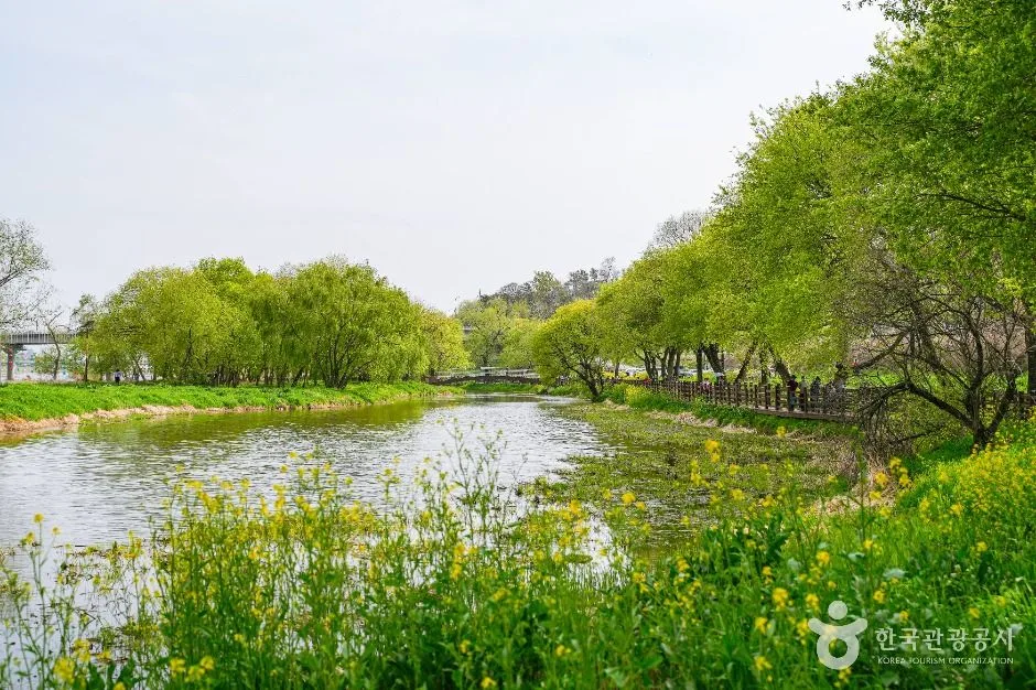 경주_금장대 습지공원 (1)