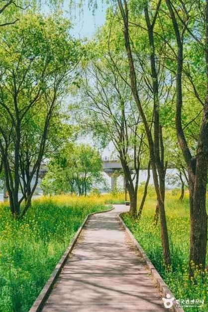 경북_경주_금장대 수변공원_외부_5.jpg