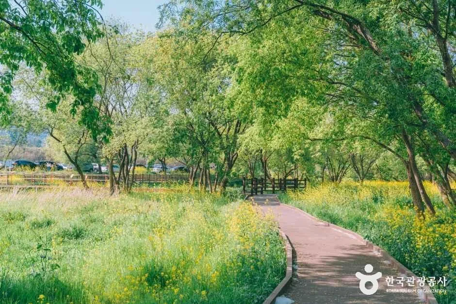 경북_경주_금장대 수변공원_외부_2.jpg