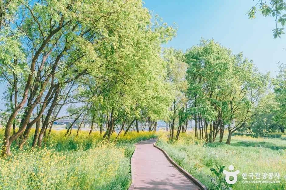경북_경주_금장대 수변공원_외부_1.jpg