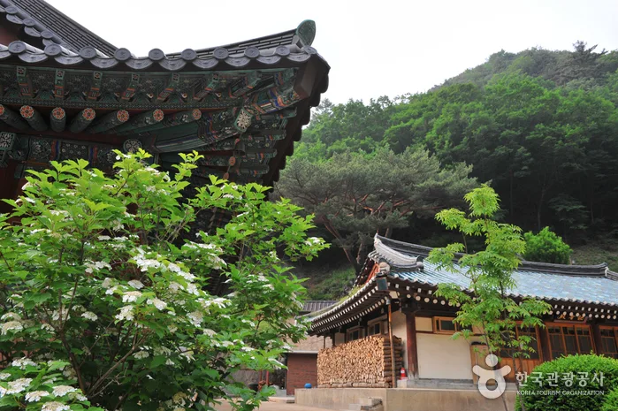 향긋한 봄을 먹다.